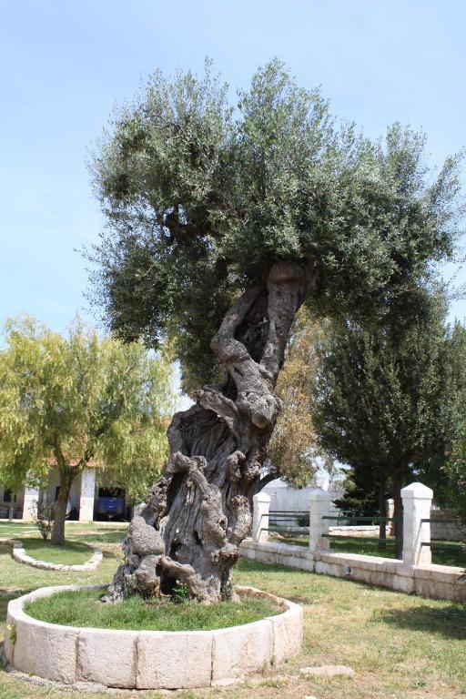 Masseria Maccarone 파사노 외부 사진