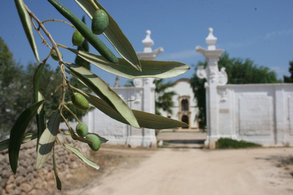 Masseria Maccarone 파사노 외부 사진