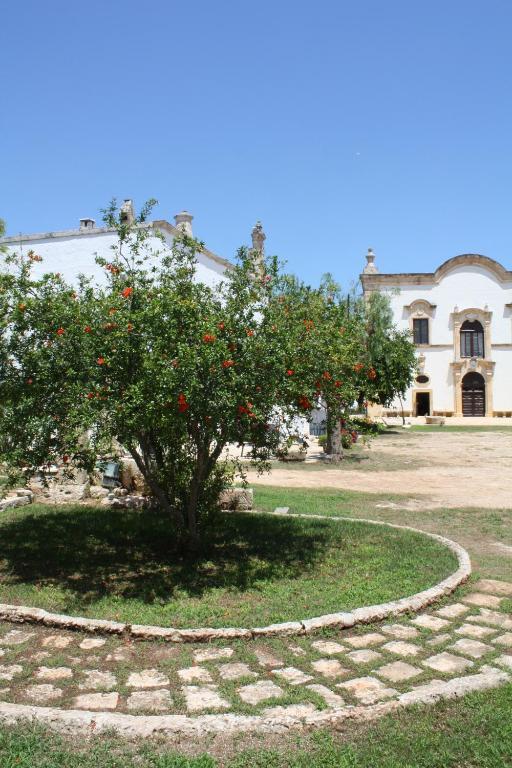 Masseria Maccarone 파사노 외부 사진
