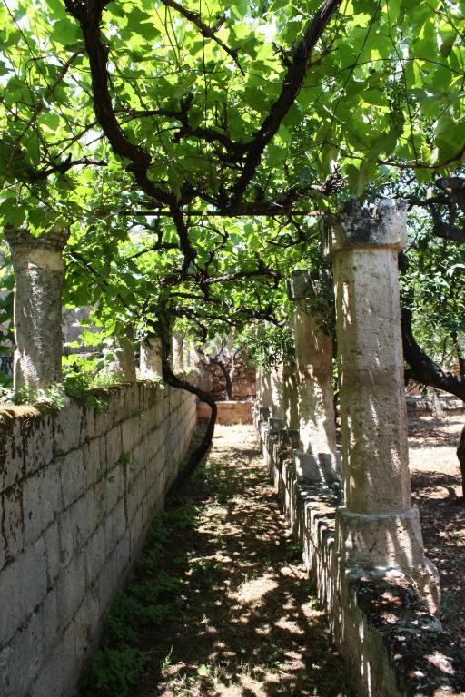 Masseria Maccarone 파사노 외부 사진