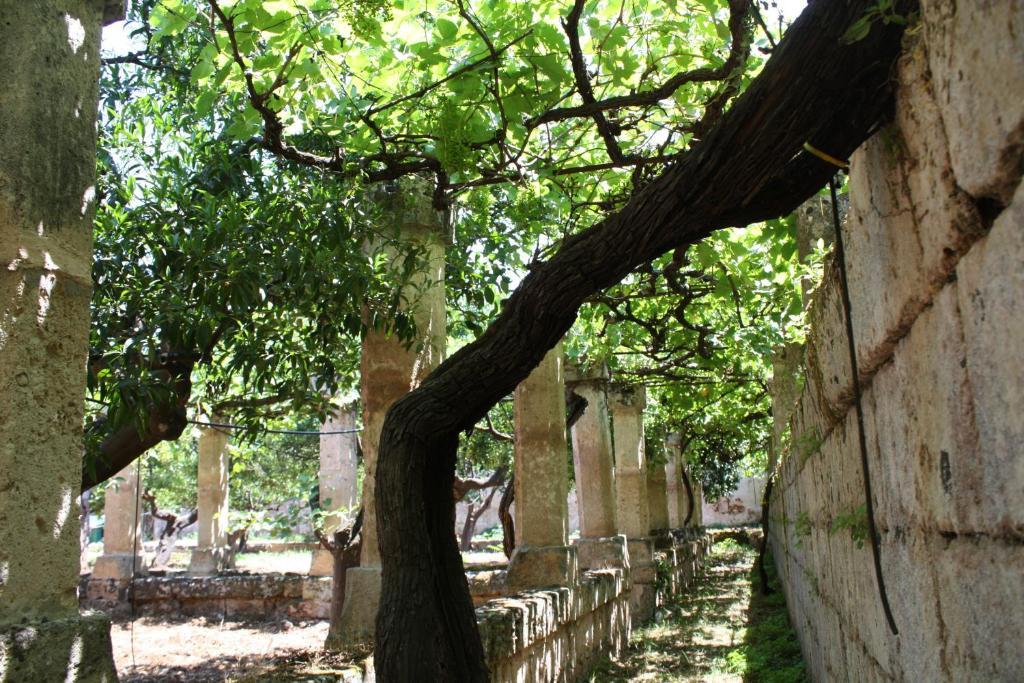 Masseria Maccarone 파사노 외부 사진