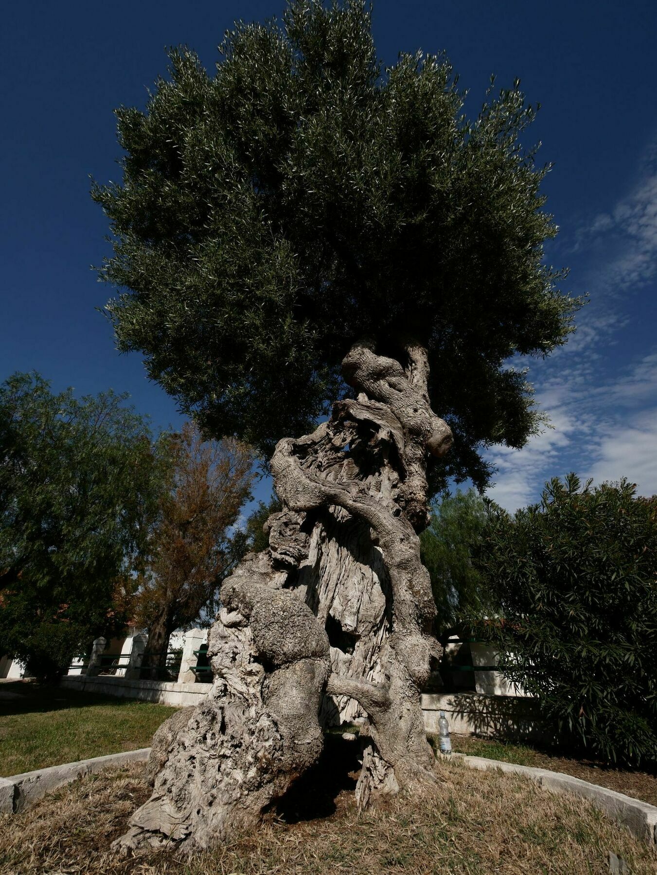 Masseria Maccarone 파사노 외부 사진